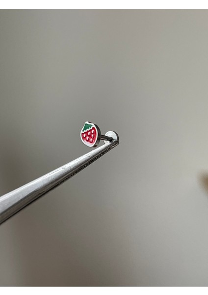 316 L Cerrahi Çelik Çilek Model Labret Dudak ve Kıkırdak Piercingi Çilek Piercing