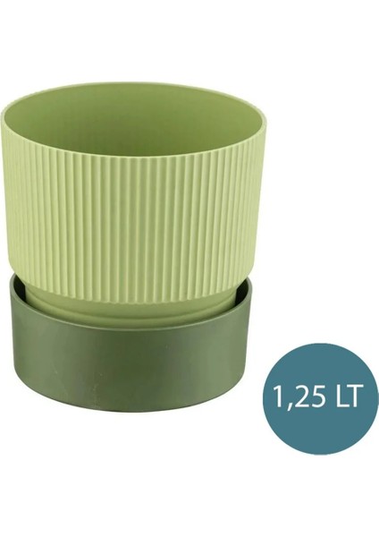 3 Adet Ixora 1,25 Litre Çift Renk Dekoratif Tabaklı Saksı 13 cm fiyatları