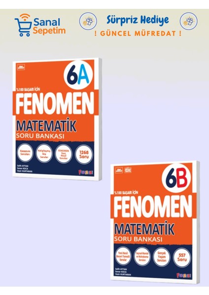 6. Sınıf Matematik (A) + Matematik (B) Soru Bankaları Set