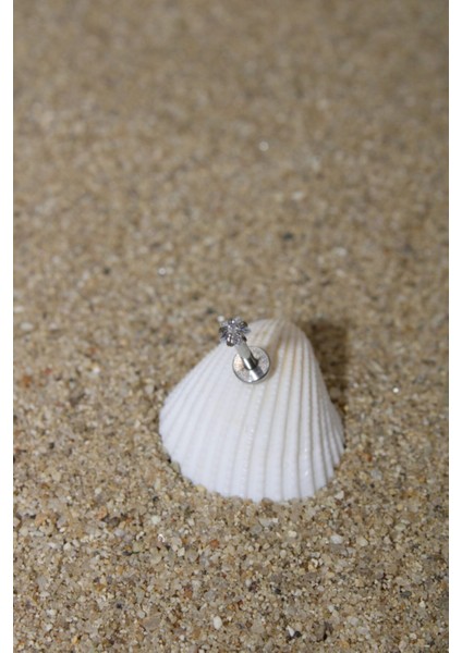 Piercing Cerrahi Çelik Piercing Zirkon Taşlı Kıkırdak Tragus Conch Helix Silver Renk