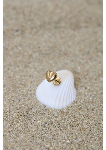 Piercing Cerrahi Çelik Piercing Kıkırdak Tragus Conch Helix Gold Renk Kalp Labret