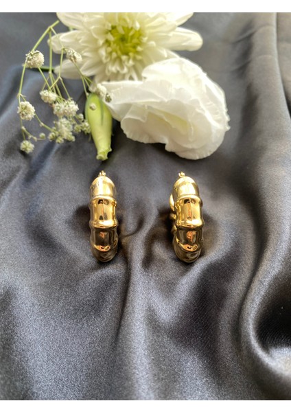 Çelik Küpe fırsatları