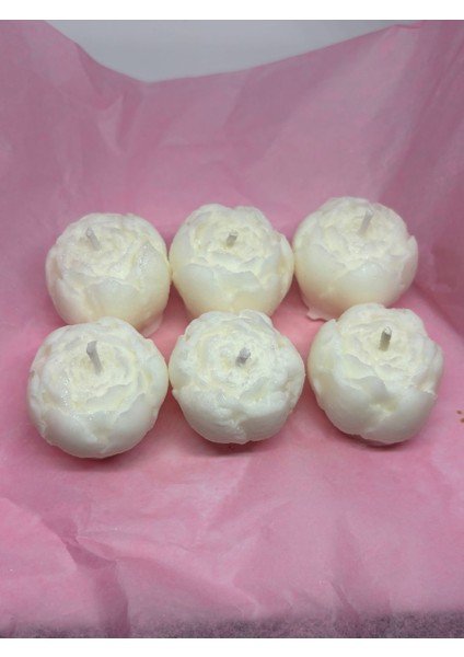 Şakayık Tomurcuk Mum fiyatları