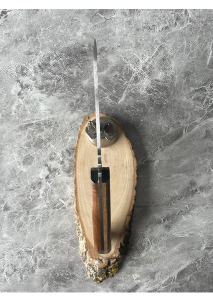 Ceviz Kabzeli Premium Kamp & Av Bıçağı modelleri