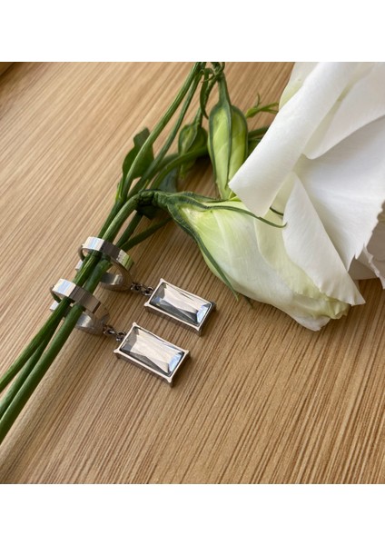 316L Çelik Zirkon Taşlı Küpe fiyatları