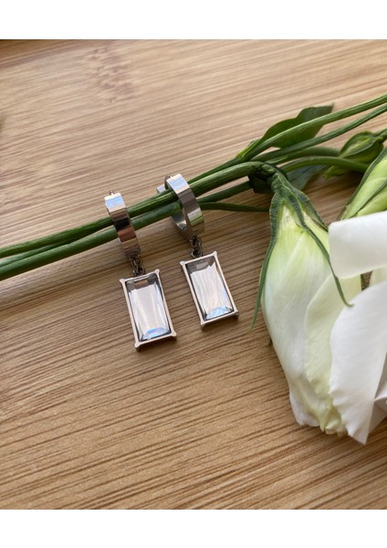 316L Çelik Zirkon Taşlı Küpe fırsatları