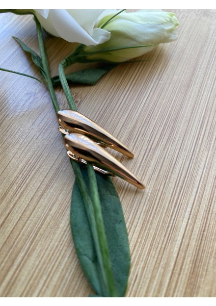 Çelik Gold Küpe fırsatları