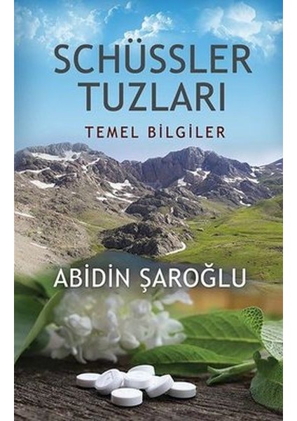 Schüssler Tuzları