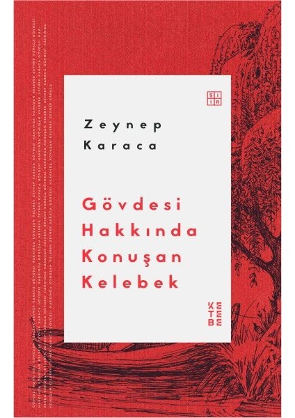 Gövdesi Hakkında Konuşan Kelebek