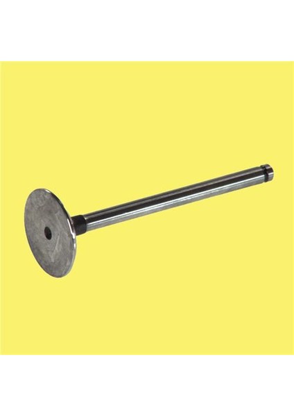 Subap Emme Egzoz Lgn-Mgn 1.8-2.0 F3R 97 8V Cap 115.30 32.80 45 8mm In-4/ex-4