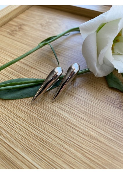 Çelik Küpe fiyatları