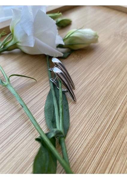 Çelik Küpe modelleri