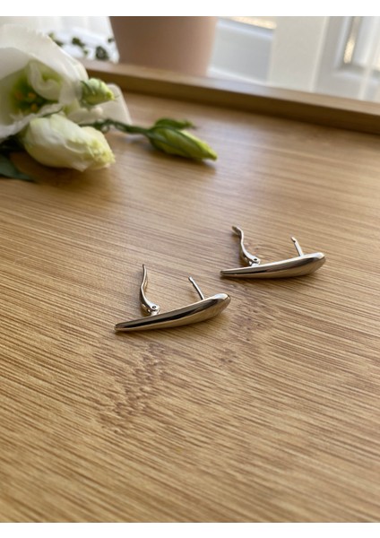 Çelik Küpe fırsatları