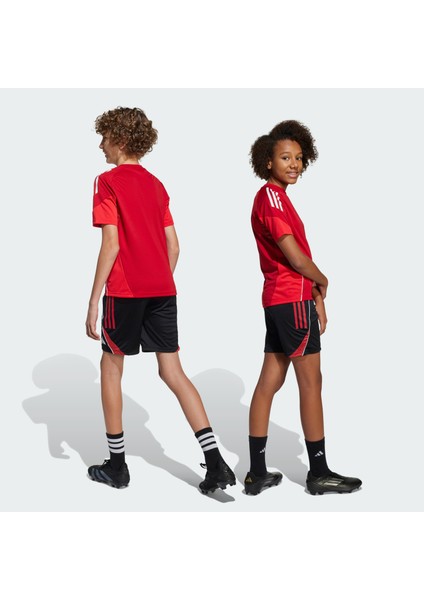 Performance JI6487 Tiro 25 Competition Kids Antrenman Şortu fiyatları