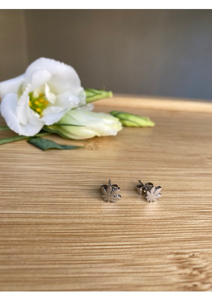 316L Çelik Yaprak Figürlü Küpe fiyatları