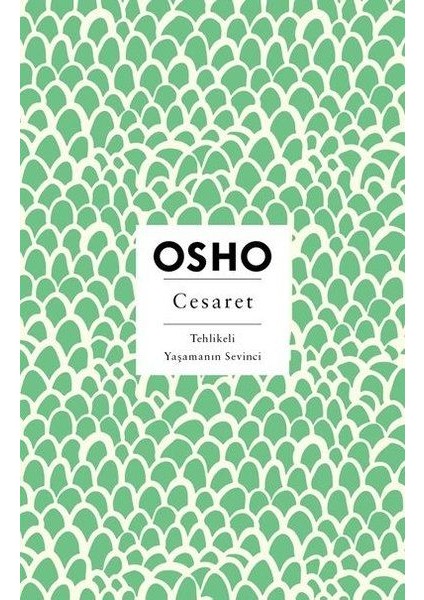 Cesaret - Tehlikeli Yaşamanın Sevinci