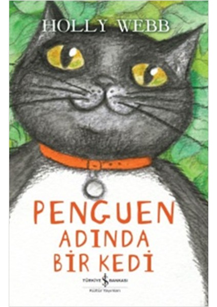Penguen Adında Bir Kedi