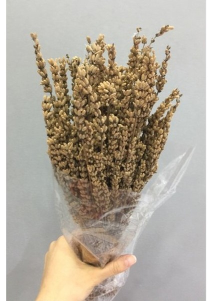 Lavanta Demeti Şoklanmış Kuru Çiçek Hardal Renk fiyatları