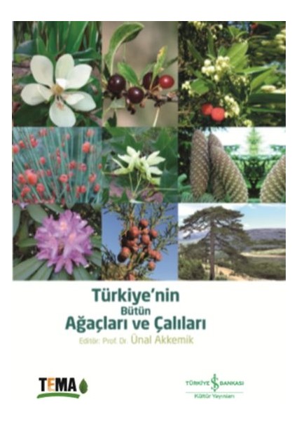 Türkiyenin Bütün Ağaçları ve Çalıları