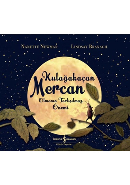 Kulağakaçan Mercan Olmanın Tartışılmaz Önemi