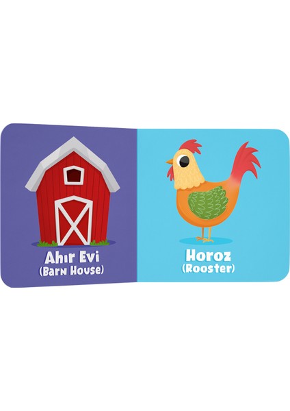 Mini Mini Kitaplar Seti - Özel Kutusunda 6 Minik Kitap