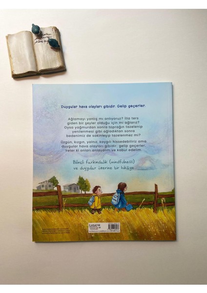 3-5 Yaş Okul Öncesi Eğitici Kitap – Ağlamak Yağmur Gibidir, Bilinçli Farkındalık, 40 Sayfa Türkçe Ciltsiz fırsatları