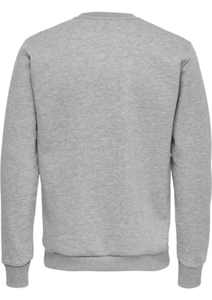 Erkek Gri Sıfır Yaka Sweatshirt fiyatları