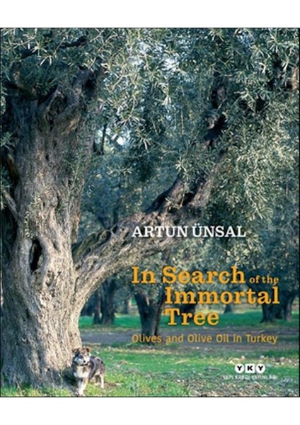 In Search Of The Immortal Tree/ Olives And Olive Oil In Turkey (Ölmez Ağacın Peşinde-Ingilizce)
