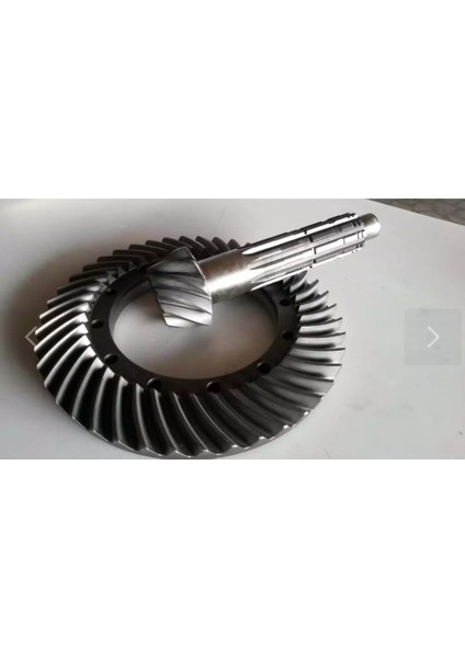 5094909 Ayna Mahruti 10/43