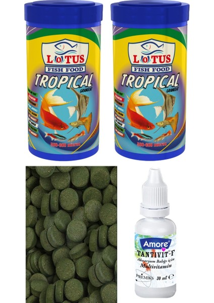Tropikal Mix 2X250ML Kutu Granül Algae, Spirulina Tablet 12 Adet Lepistes Moli Akvaryum Balık Yemi, Multivitamin 30CC
