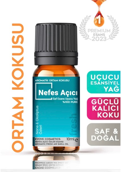 Fresh Nefes Burun Açıcı Saf Esansiyel Uçucu Yağ Difüzör Aromaterapi Ortam Koku Yağı 10ML