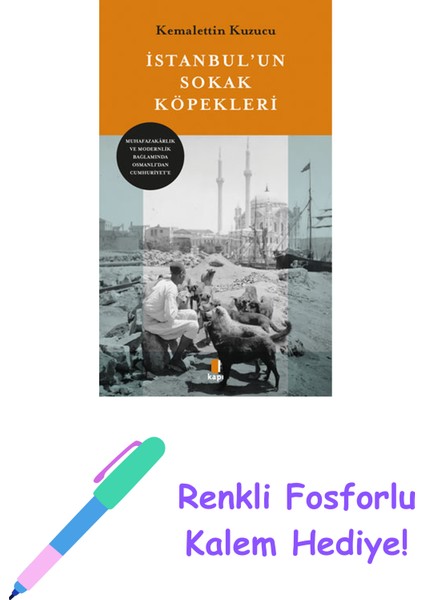 Istanbul’un Sokak Köpekleri + Renkli Fosforlu Kalem