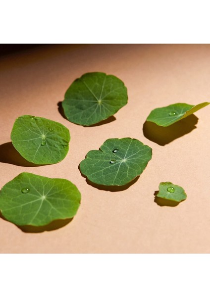 cc Eye With Centella Asiatica Aydınlatıcı Nemlendirici Parlaklık Verici cc Krem 10ML Dore fırsatları