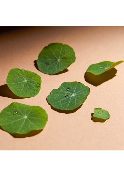 cc Crème - Seyehat Boyu Aydınlatıcı Bakım- Dore 15 ml