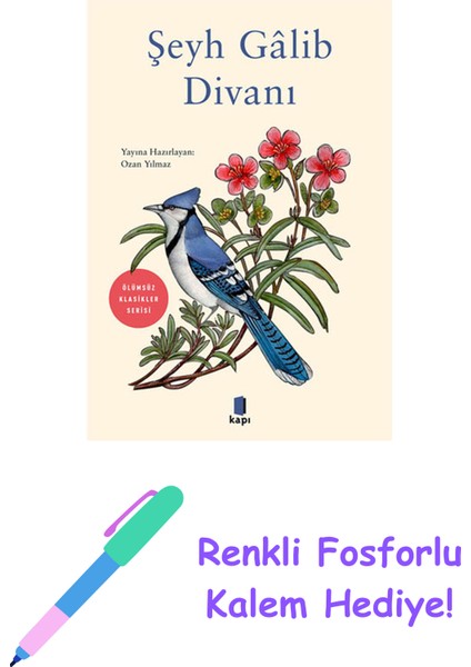 Şeyh Gâlib Divanı + Yapışkanlı Not Kağıdı