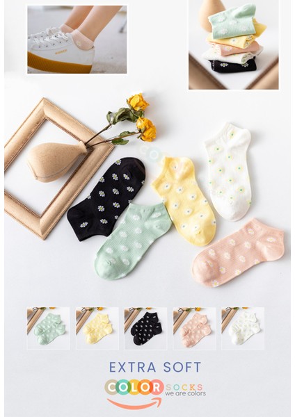5 Çift Papatya Desenli Kadın Patik Çorap (Extra Soft)