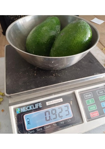 Avakado 1 kg Taze Dalından Toplama modelleri