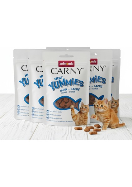 Carny Meat Tavuk ve Somonlu Kedi Ödül Maması 5ADX50GR