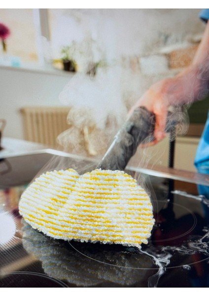 Sc 4 Easyfix *eu Buharlı Temizlik Makineleri modelleri