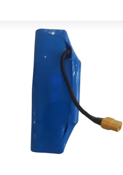 Samsung Smart Balance Hoverboard Elektirikli Kaykay ve Drift Car Batarya (Pil)