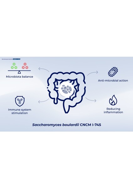 Vegan Saccharomyces Boulardii + Mos, 5 Billion Cfu Probio Prebio fırsatları