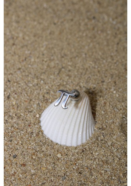 Piercing Cerrahi Çelik Piercing Kıkırdak Tragus Conch Helix Silver Renk Pi Sayısı