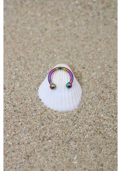 Piercing Cerrahi Çelik Piercing Halka Kıkırdak Septum Tragus Conch Helix Gökkuşağı Top Çap 2,50 mm