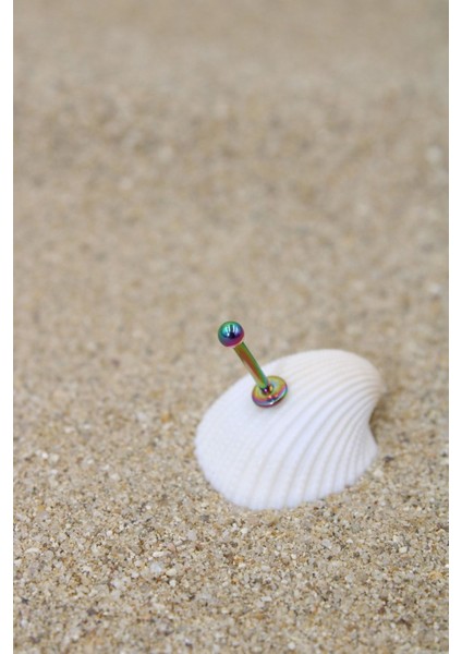 Piercing Cerrahi Çelik Piercing Kıkırdak Tragus Conch Helix Gökkuşağı Renk Top Çap 2.50 mm Labret