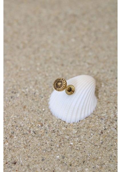 Piercing Cerrahi Çelik Piercing Etnik Kıkırdak Tragus Conch Helix Gold Renk Çizgili Etnik