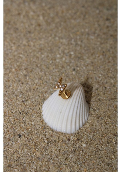 Piercing Cerrahi Çelik Piercing Zirkon Taşlı Kıkırdak Tragus Conch Helix Gold Renk Şimşek Labret