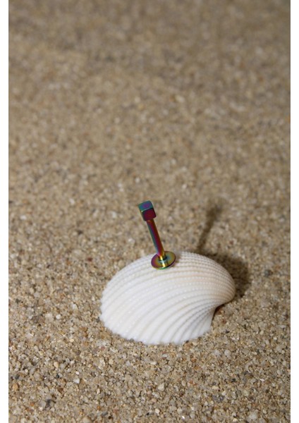 Piercing Cerrahi Çelik Piercing Kıkırdak Tragus Conch Helix Gökkuşağı Renk Küp 2 mm Labret