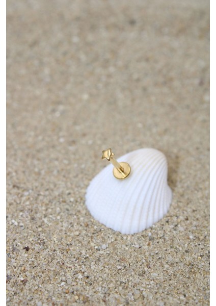 Piercing Cerrahi Çelik Piercing Kıkırdak Tragus Conch Helix Gold Renk 2,50 mm Yıldız Labret
