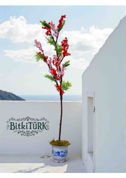 -Yapay Bahar Ağacı 1.5 Metre Gerçek Gövde Vebyosun Dekorlu fiyatları