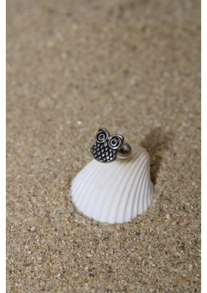 Piercing Cerrahi Çelik Piercing Kıkırdak Tragus Conch Helix Silver Renk Baykuş fiyatları